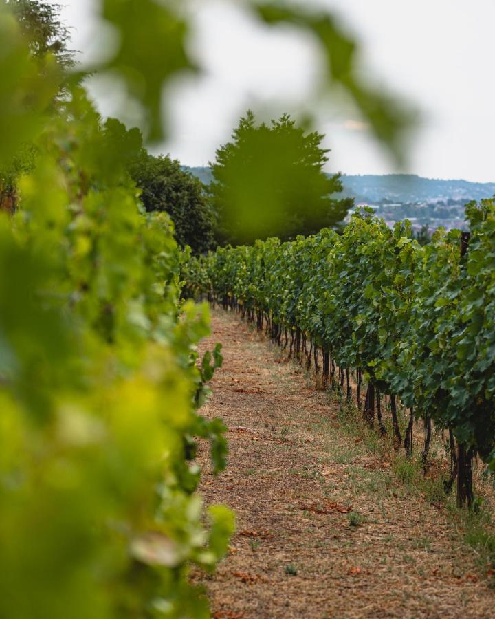 Tenuta Ronco Regio San Fermo della Battaglia 외부 사진